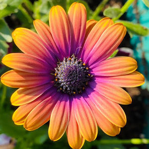 Meet your Posher, Jenny